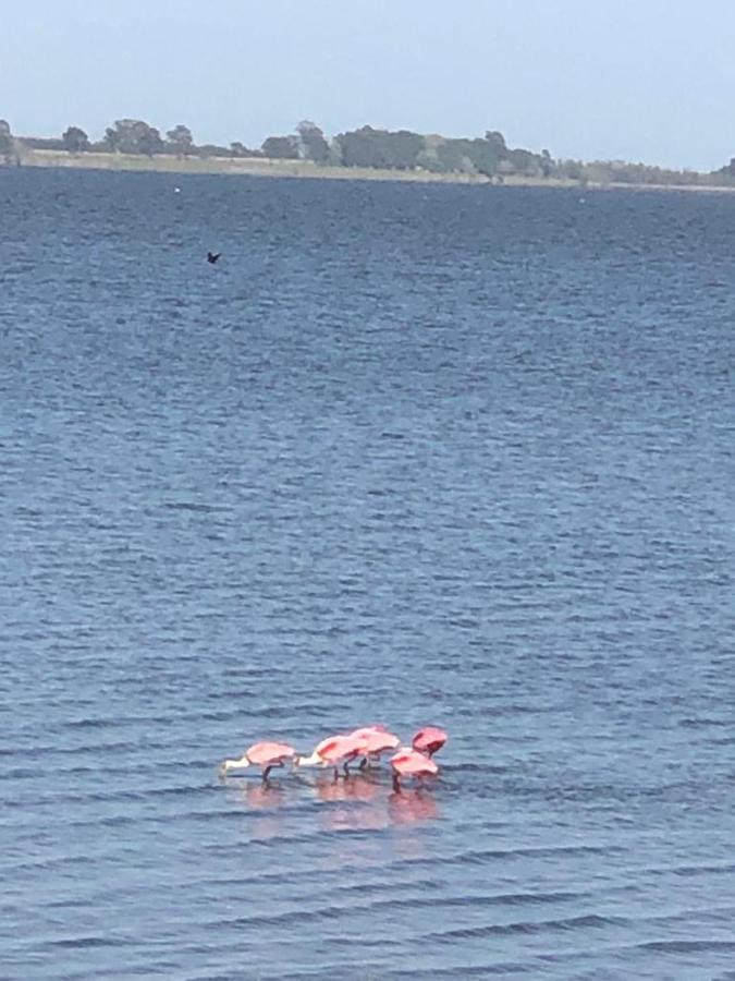 La Vizcaina Villa Chascomus Luaran gambar